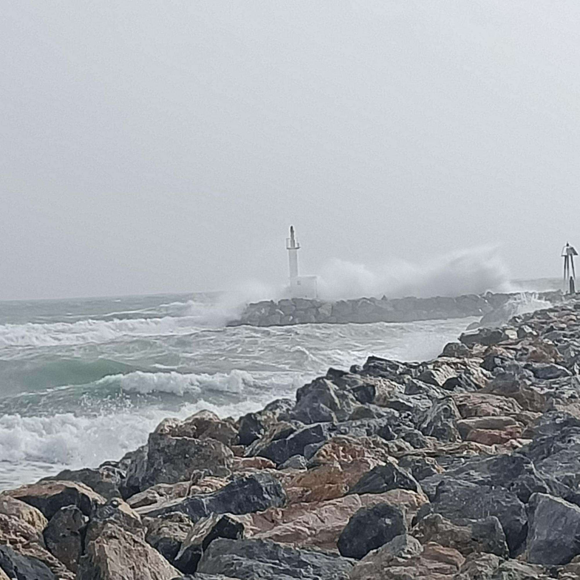 Studio Les Pieds Dans L'Eau App N°7 Le Barcarès Εξωτερικό φωτογραφία